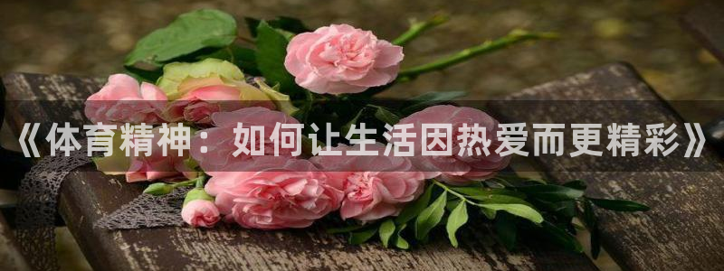 千亿国际官网下载平台是正规平台吗安全吗：《体育精神：