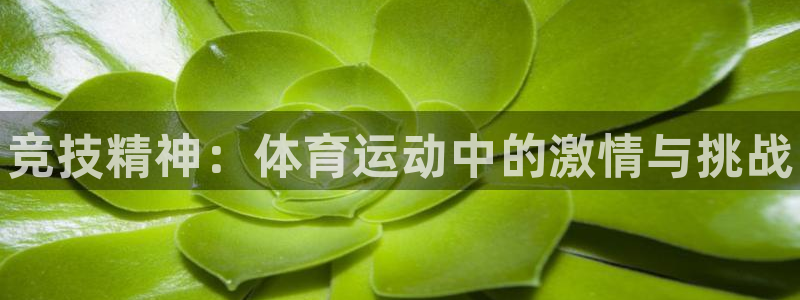 千亿国际官网下载招商电话号码查询