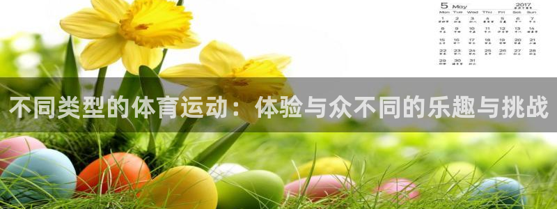 千亿国际官方正版app集团简介：不同类型的体育运动：