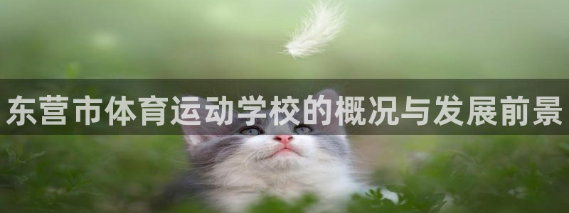 千亿国际官网下载平台APP：东营市体育运动学校的概况