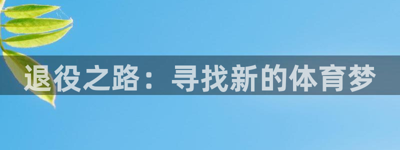 千亿国际官网下载官方客服电话：退役之路：寻找新的体育