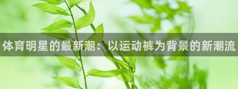 千亿国际官网下载招商电话号码查询是多少