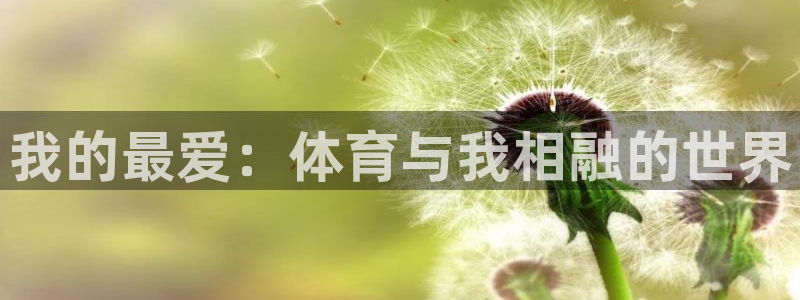 千亿国际官网下载招商电话：我的最爱：体育与我相融的世界