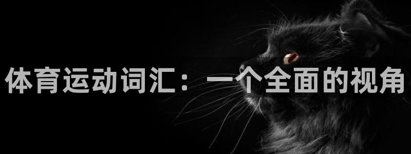 千亿国际官方正版app官方：体育运动词汇：一个全面的