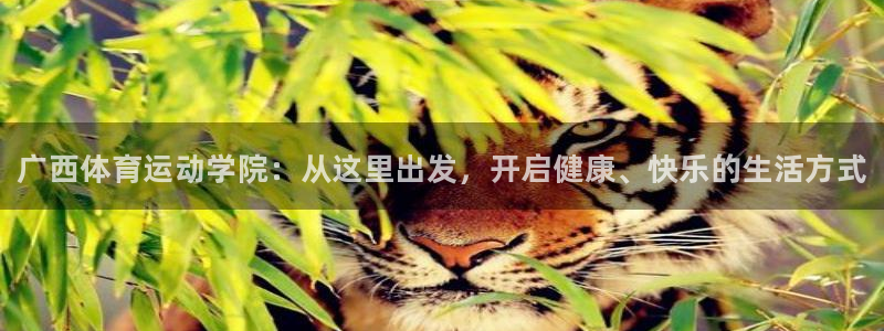 千亿国际官网下载平台注册流程图：广西体育运动学院：从