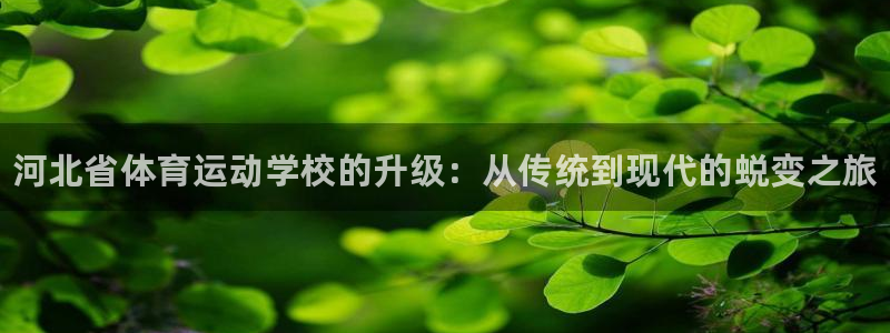 千亿国际官网下载开户：河北省体育运动学校的升级：从传