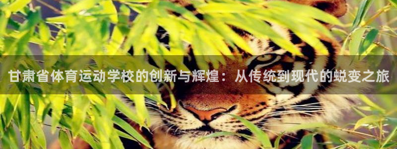 千亿国际官网下载平台注册要钱吗：甘肃省体育运动学校的