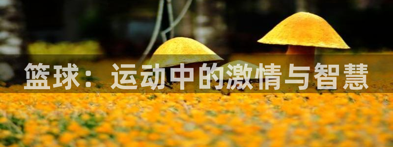 千亿国际官方正版app集团logo：篮球：运动中的激