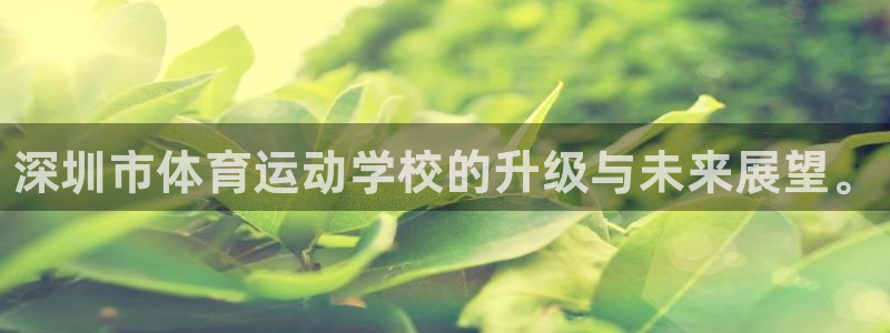 千亿国际官方正版app娱乐首页网站大全：深圳市体育运