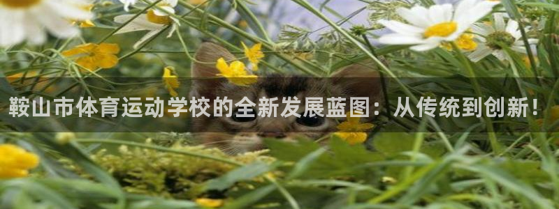 千亿国际官方正版app集团E.ON