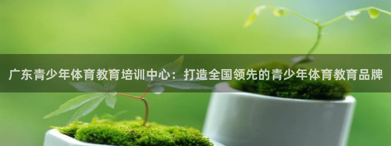 千亿国际官方正版app集团E.ON：广东青少年体育教育培训中