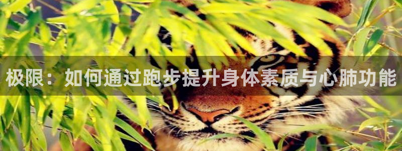 千亿国际官网下载平台注册要钱吗安全吗：极限：如何通过跑步提升