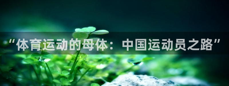 千亿国际官方集团官网