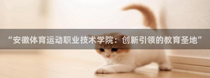 千亿国际官方正版app娱乐代理怎么样：“安徽体育运动职业技术