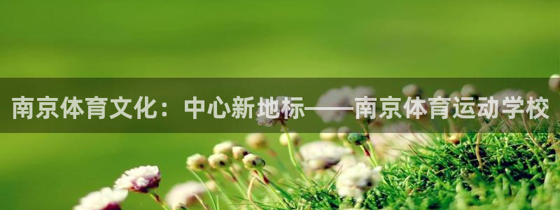 千亿国际官网下载招商电话是多少啊：南京体育文化：中心新地标—