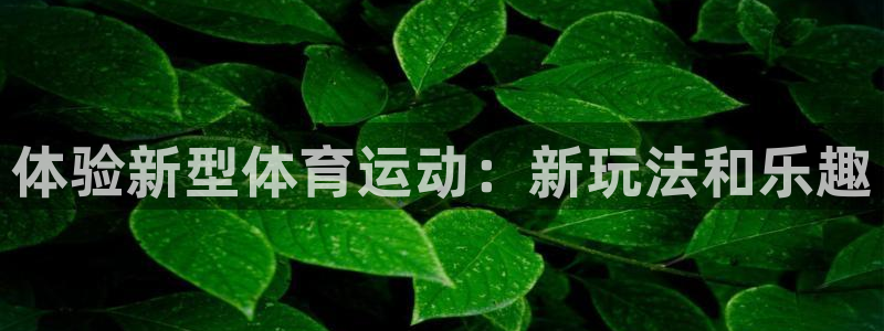 千亿国际官方正版app官方：体验新型体育运动：新玩法和乐趣